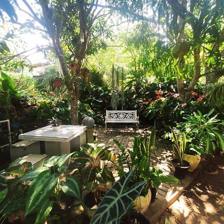 Bird House Homestays Tangalle Ngoại thất bức ảnh