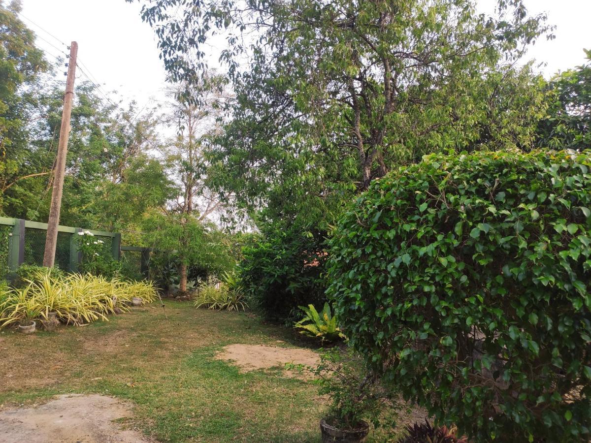 Bird House Homestays Tangalle Ngoại thất bức ảnh