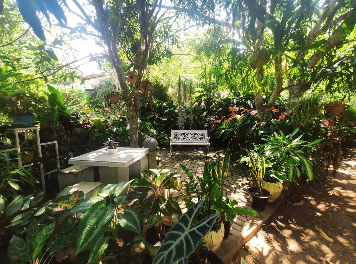 Bird House Homestays Tangalle Ngoại thất bức ảnh