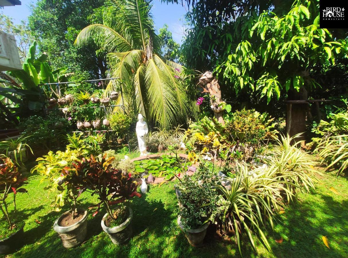 Bird House Homestays Tangalle Ngoại thất bức ảnh
